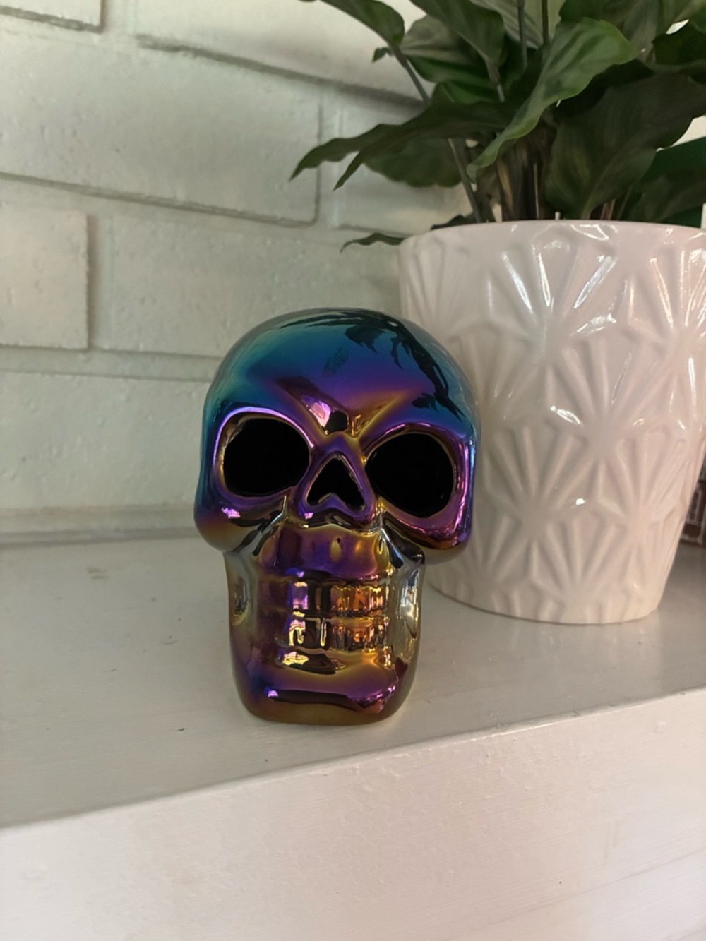 Iridescent Dark Ceramic Skull Decor